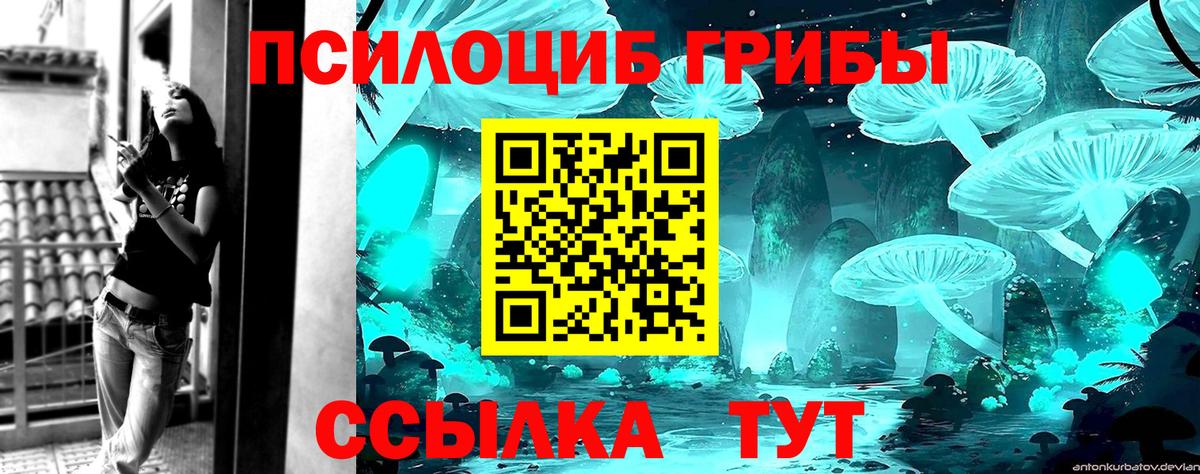 Семилуки  Галлюциногенные грибы прущие грибы  Вход с VPN 