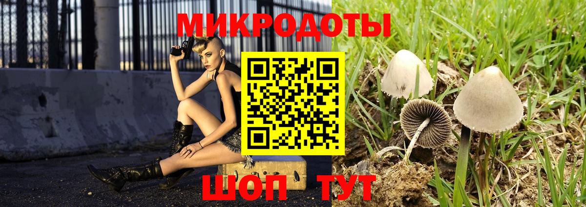 Галлюциногенные грибы Cubensis Семилуки
